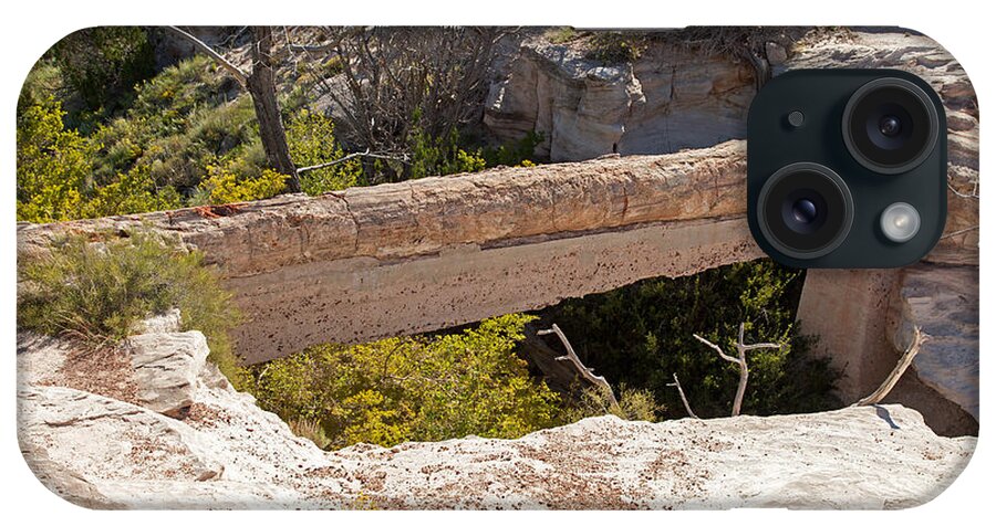 Agate Bridge iPhone Case featuring the photograph Agate Bridge Petrified Forest National Park by Fred Stearns