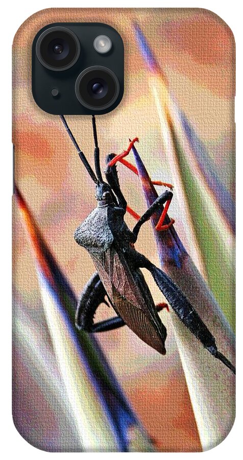 Agave Bug iPhone Case featuring the photograph Agave Bug by Tom Janca