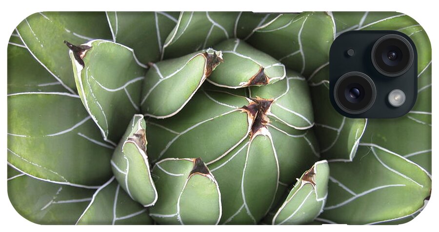 Agave iPhone Case featuring the photograph Agave by Chani Demuijlder