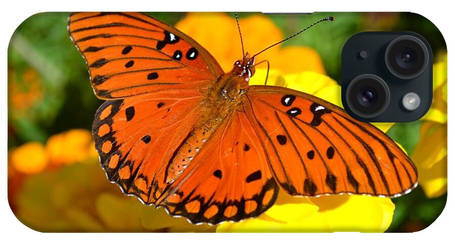 Agraulis iPhone Case featuring the photograph Agraulis Vanillae-Gulf Fritillary Butterfly on Marigolds by Jeff at JSJ Photography