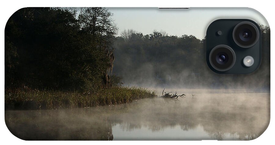 Alafia River iPhone Case featuring the photograph Alafia River by Chauncy Holmes