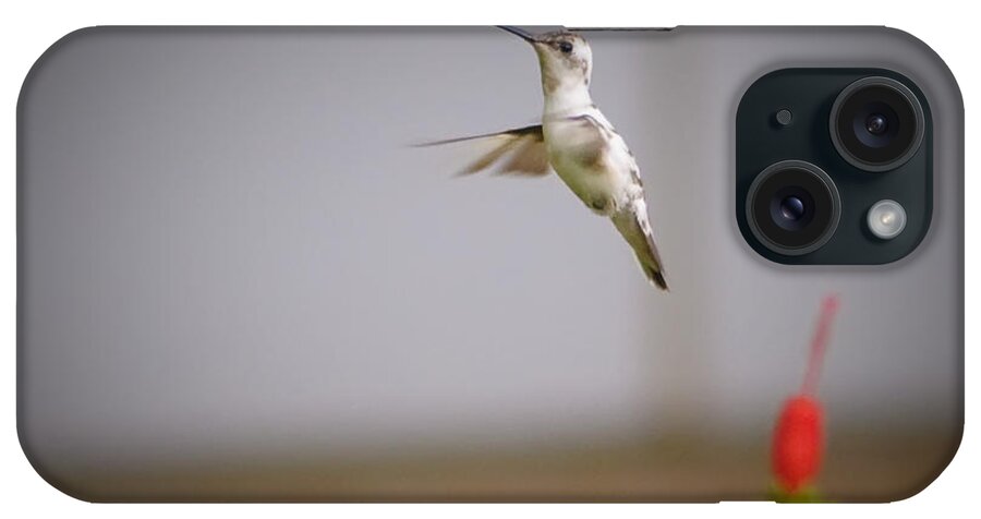 Albino iPhone Case featuring the photograph Albino Hummingbird by Charles Dobbs