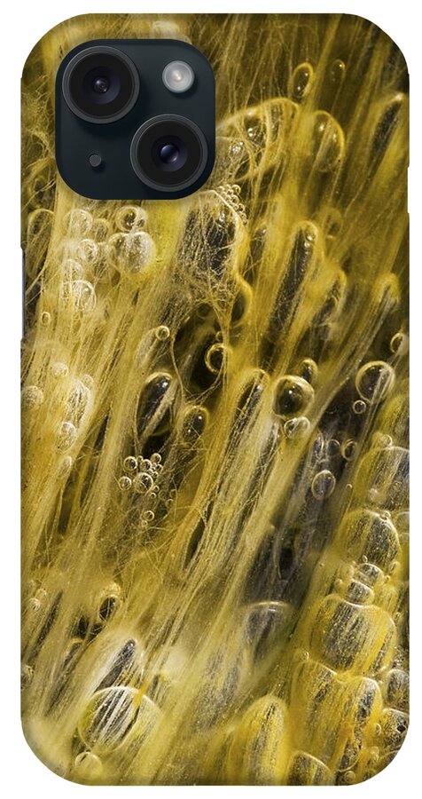 Water iPhone Case featuring the photograph Algae Bubbles in Creek by Steven Schwartzman