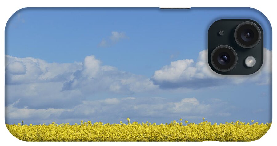 All iPhone Case featuring the photograph All Across The Land 3 by Wendy Wilton