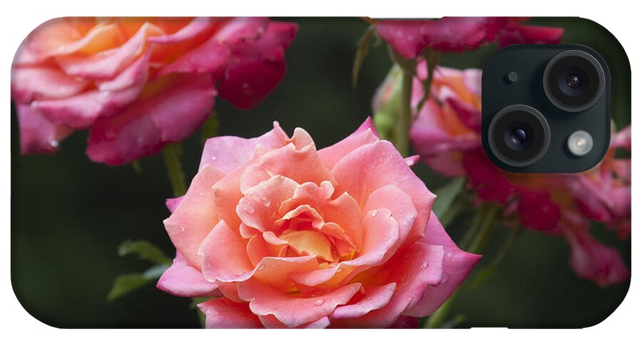 Flowers iPhone Case featuring the photograph All-America Roses by Penny Lisowski