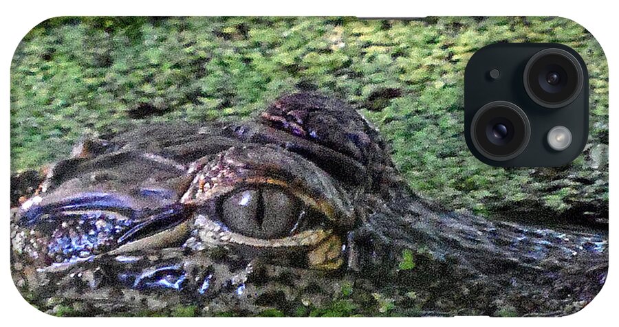 American Alligator iPhone Case featuring the photograph Alligator 027 by Christopher Mercer
