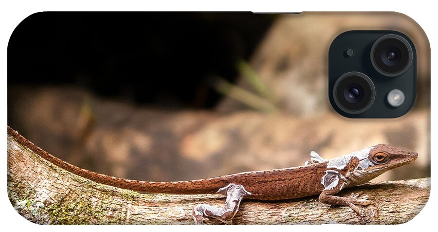 Hawaii iPhone Case featuring the photograph Aloha Anole  by Lars Lentz
