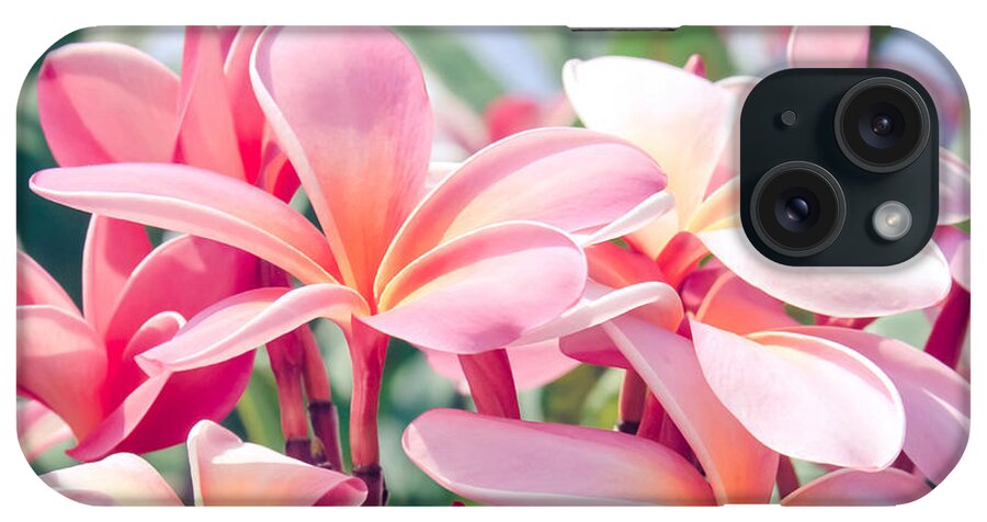 Pink Plumeria iPhone Case featuring the photograph Aloha by Sharon Mau