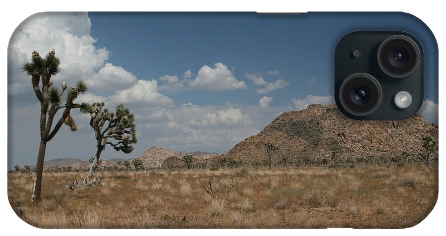 Desert iPhone Case featuring the photograph Joshua Tree State Park by Karen Harrison Brown