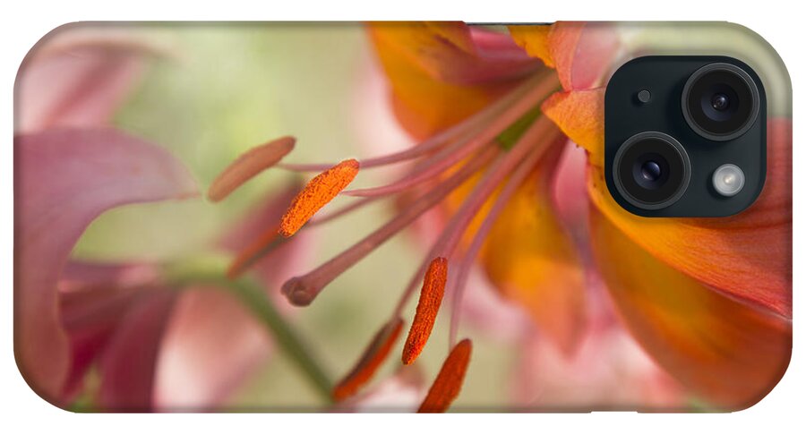 Gardens iPhone Case featuring the photograph Alpenglow by Marilyn Cornwell
