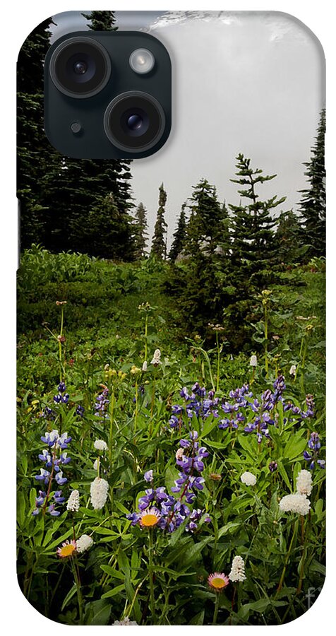 Alpine Beauty iPhone Case featuring the photograph Alpine Beauty by Karen Lee Ensley