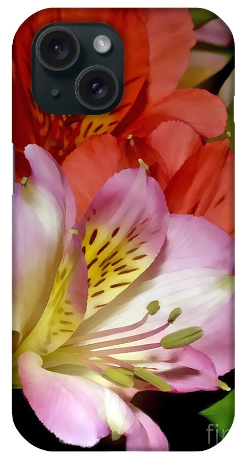 Portrait iPhone Case featuring the photograph Alstroemeria by Sami Martin