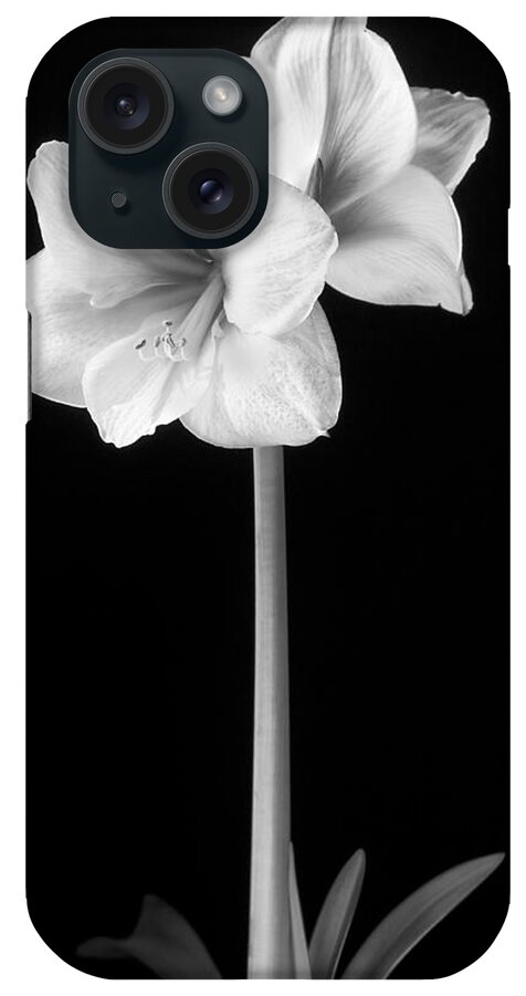3scape Photos iPhone Case featuring the photograph Amaryllis in Black and White by Adam Romanowicz