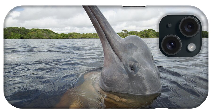 Feb0514 iPhone Case featuring the photograph Amazon River Dolphin Spy-hopping Rio by Hiroya Minakuchi