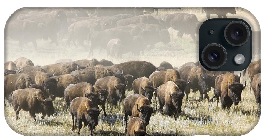 American Bison iPhone Case featuring the photograph American Bison Herd by Craig K. Lorenz