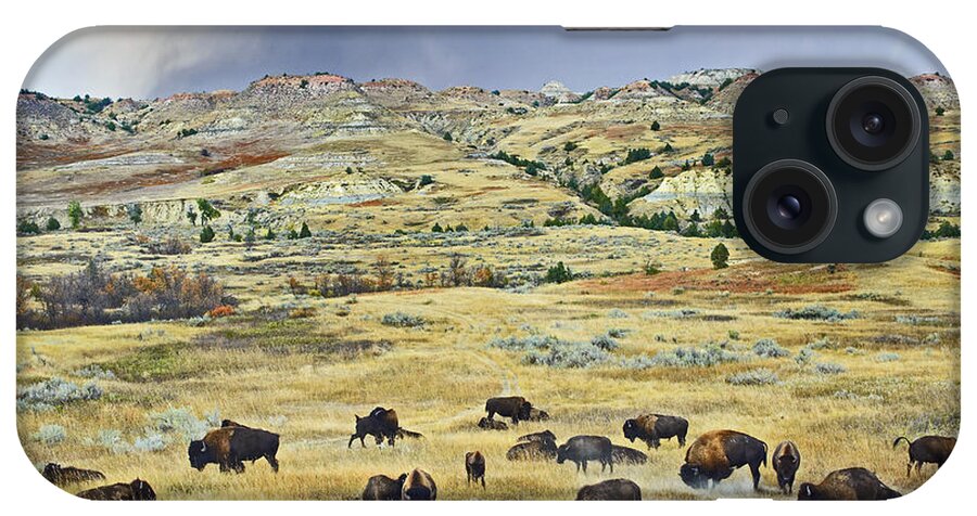 00176897 iPhone Case featuring the photograph American Bison Herd Grazing by Tim Fitzharris