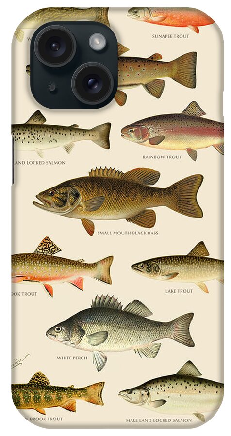 #faatoppicks iPhone Case featuring the painting American Game Fish by Gary Grayson