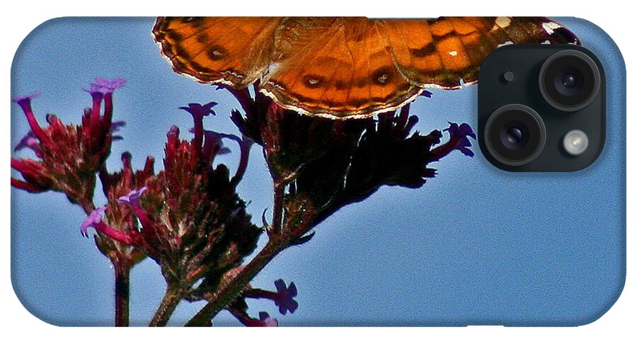 American iPhone Case featuring the photograph American Lady Butterfly with Blue Sky by Karen Adams