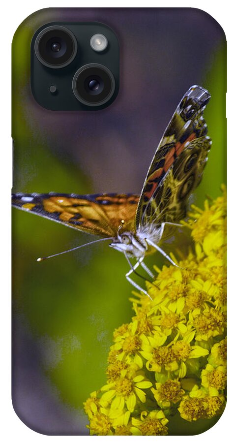 Lepidoptera iPhone Case featuring the photograph American Lady On Goldenrod by Constantine Gregory