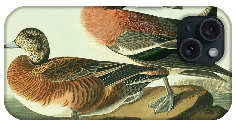 Illustration iPhone Case featuring the photograph American Widgeon by Natural History Museum, London/science Photo Library