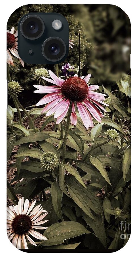 Cone Flowers iPhone Case featuring the photograph Among Friends by Frank J Casella
