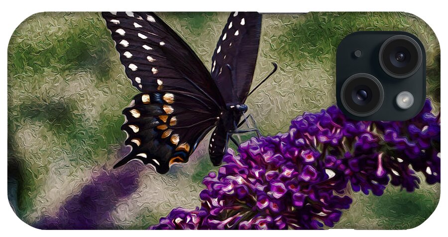 Black Butterflies iPhone Case featuring the photograph An afternoon visitor by Jeff Folger