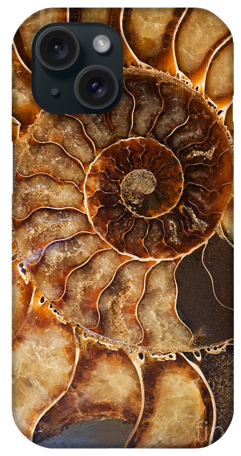 Ammonite iPhone Case featuring the photograph An Ancient Treasure II by Jaroslaw Blaminsky