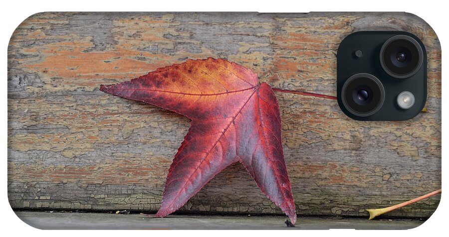 Autumn iPhone Case featuring the photograph An Autumn Memory by Melanie Moraga