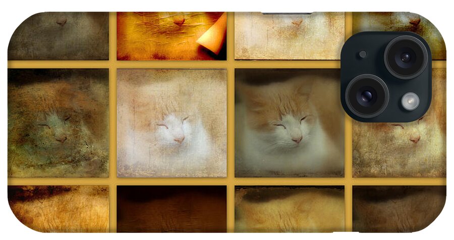 Cat iPhone Case featuring the photograph An Ott's Cat Living A Greenhouse Cat's Life by Carol Senske