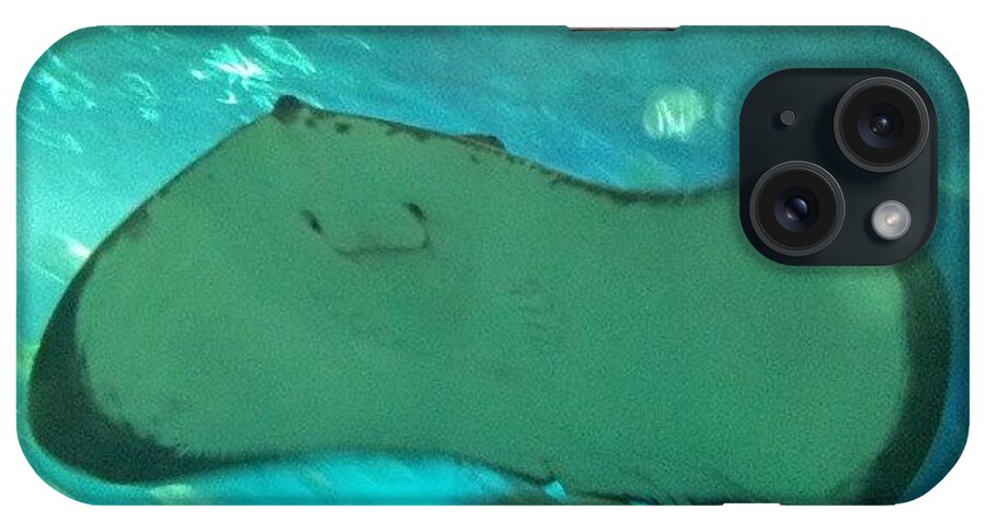 Fish iPhone Case featuring the photograph Stingrays by Jennita Van Belle