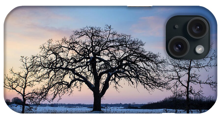 Winter Landscape iPhone Case featuring the photograph And Then There Were Three by Dan Hefle