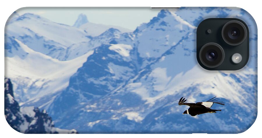 Condor Soars iPhone Case featuring the photograph Andean Condor Soars Flying by Ben Girardi