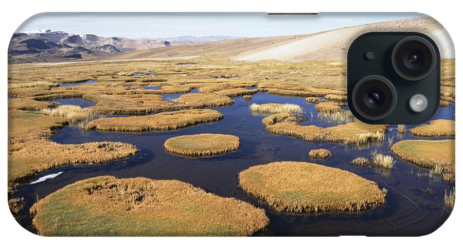 Feb0514 iPhone Case featuring the photograph Andean High Mountain Bog Peru by Tui De Roy