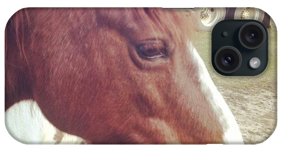  iPhone Case featuring the photograph Angel Is Such A Beautiful Horse by Sarah Steele
