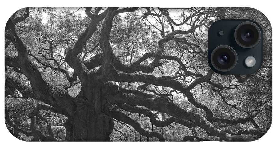 Black And White iPhone Case featuring the photograph Angel Oak II - Black and White by Suzanne Gaff