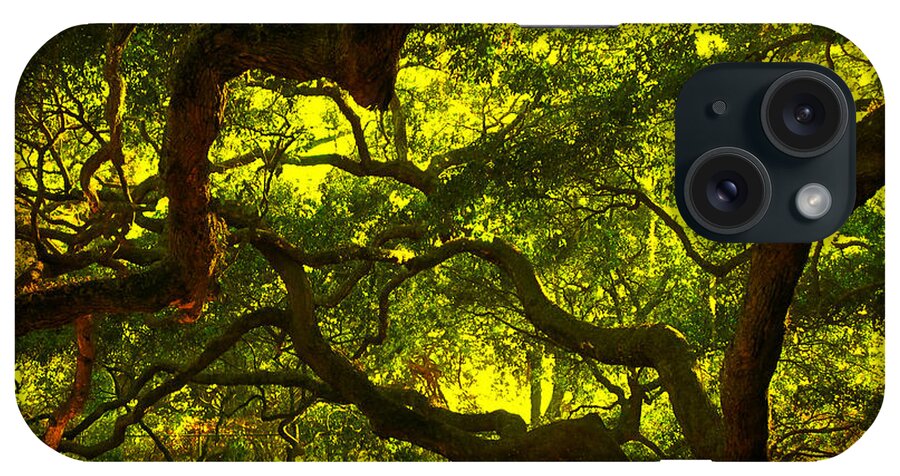 Angel Oak iPhone Case featuring the photograph Angel Oak Limbs Crop 40 by Susanne Van Hulst