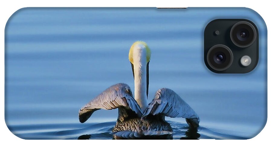 Brown Pelican iPhone Case featuring the photograph Angel Wings by Oscar Alvarez Jr