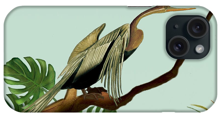 Anhinga Bird iPhone Case featuring the painting Anhinga Bird by Anne Beverley-Stamps