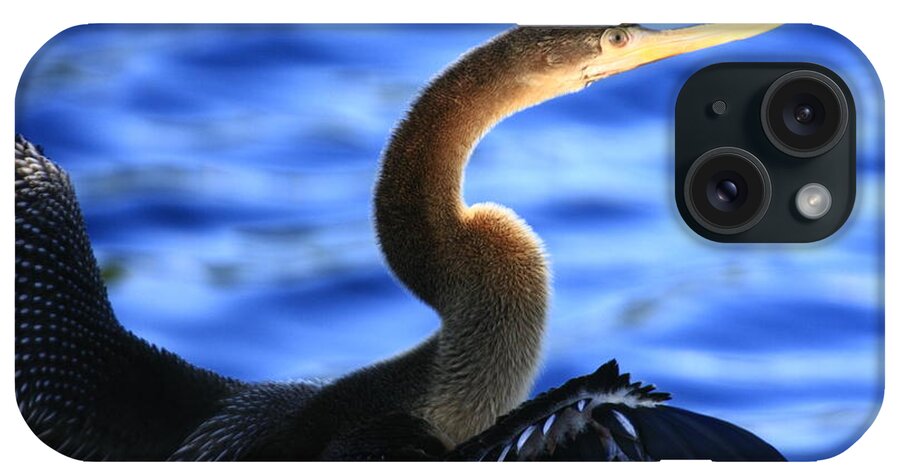 Landscapes iPhone Case featuring the photograph Anhinga In Blue by John F Tsumas