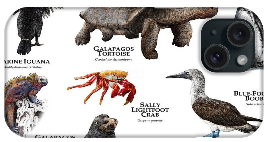 Animal iPhone Case featuring the photograph Animals Of The Galapagos Islands by Roger Hall