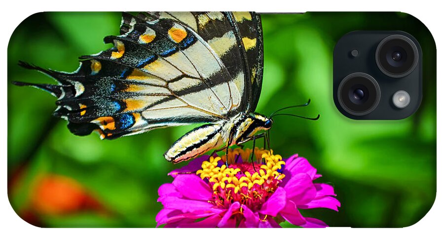 Anise Butterfly iPhone Case featuring the photograph Anise Swallowtail Butterfly by Peggy Franz