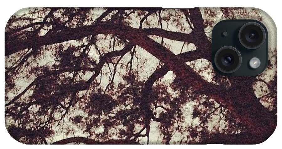  iPhone Case featuring the photograph Ann Has Some Pretty Sweet Oak Trees At by Leeanna Williams