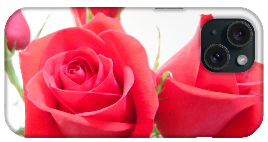 Anniversary Roses With Love iPhone Case featuring the photograph Anniversary Roses With Love 4 by Paddy Shaffer