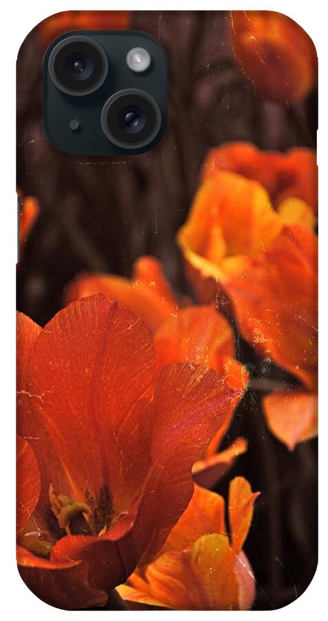 Tulip iPhone Case featuring the photograph Antiqued Tulips by Michelle Calkins