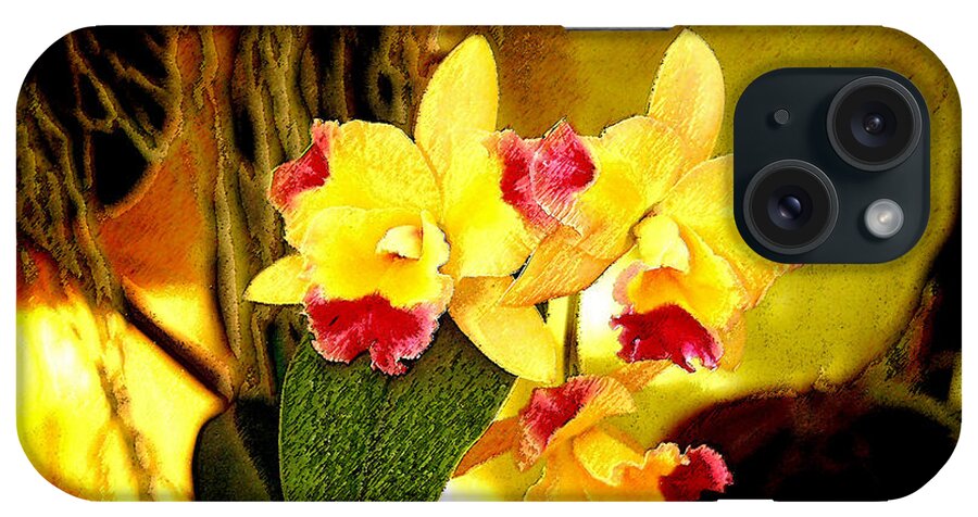 Orchid iPhone Case featuring the photograph AOS Yellow Orchid 1 by Janis Lee Colon