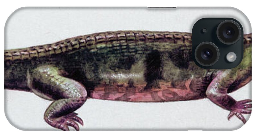 Nobody iPhone Case featuring the photograph Aphaneramma Prehistoric Amphibian by Deagostini/uig