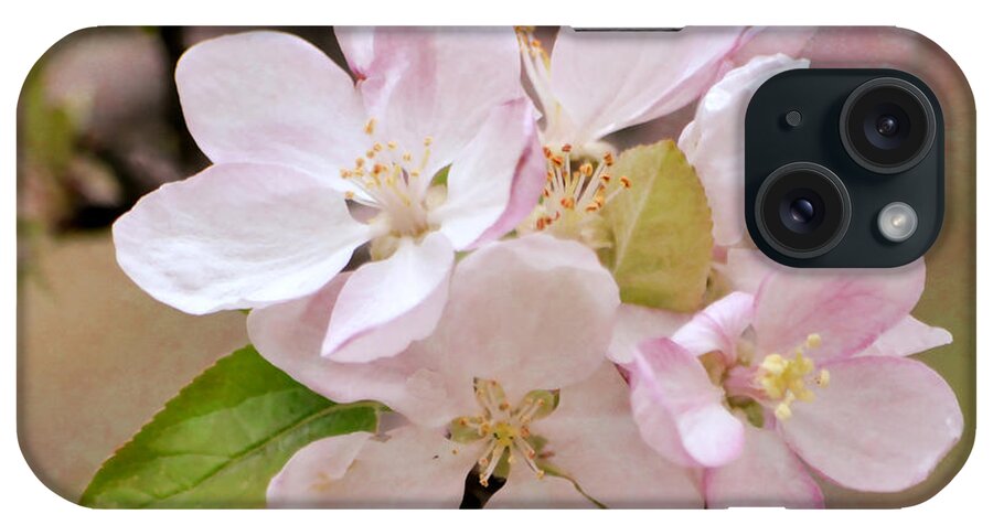 Flower iPhone Case featuring the photograph Apple Blossoms by Deena Stoddard