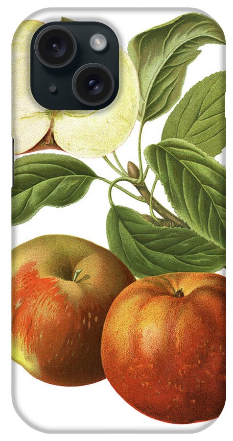 Art iPhone Case featuring the digital art Apples by Ivan-96