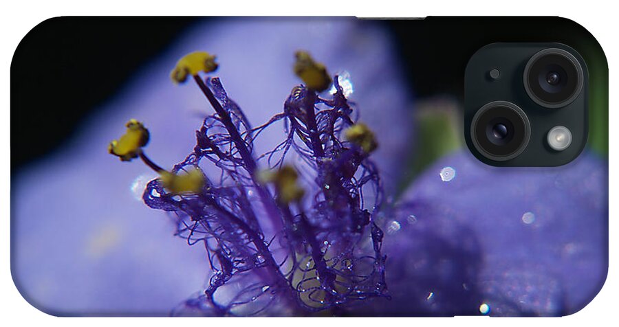 Weed iPhone Case featuring the photograph April Showers by Bob Johnson