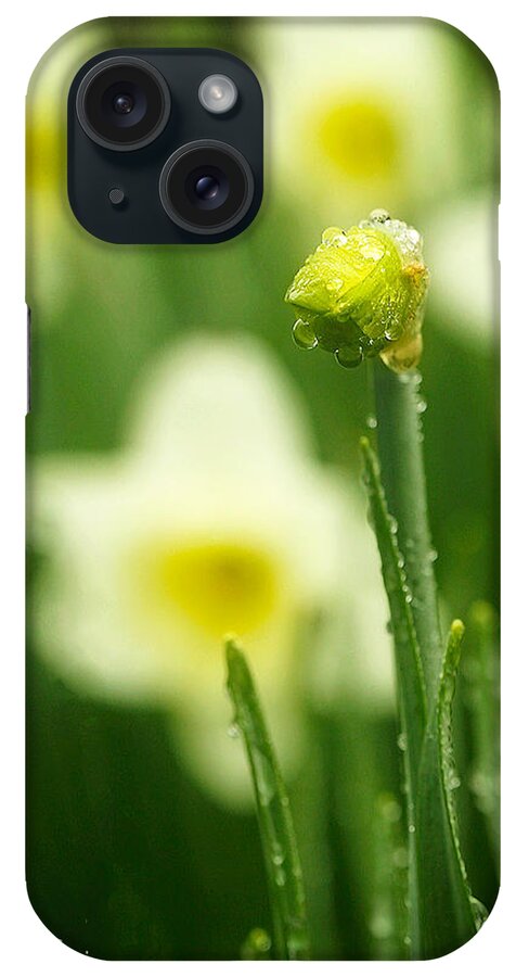 Spring iPhone Case featuring the photograph April Showers by Joan Davis